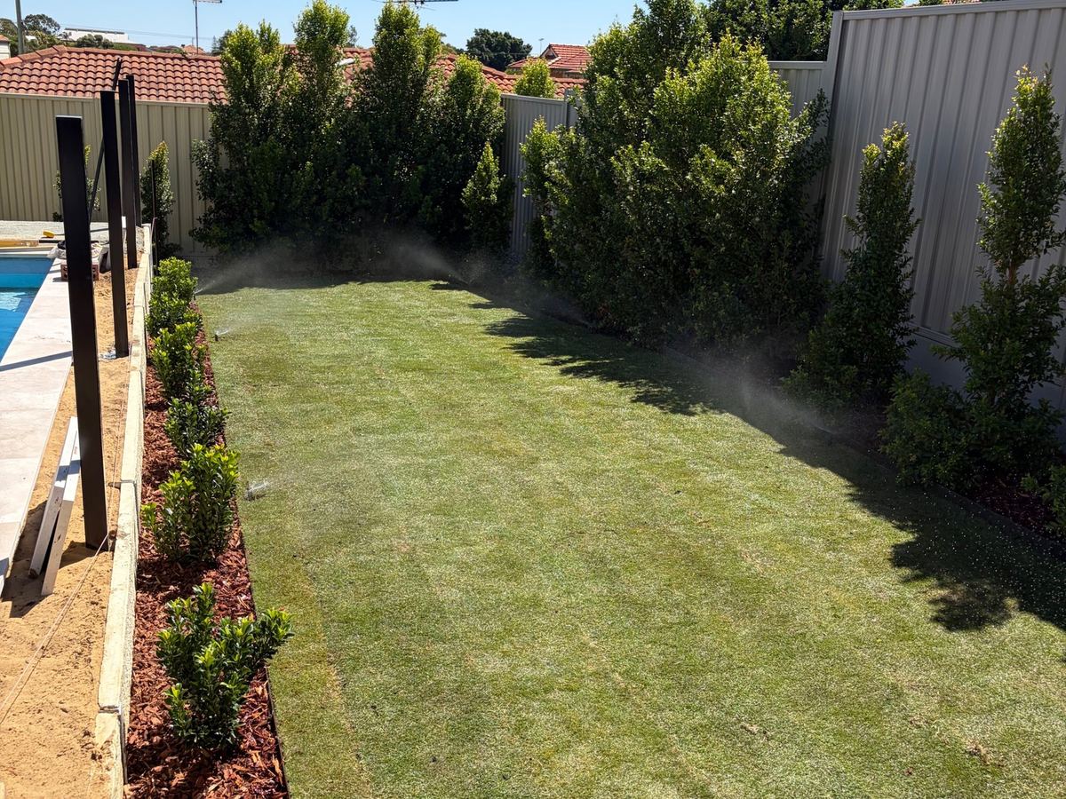 Lawn and screening hedge beside a pool